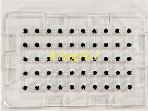 FUJI 2AGKNX006300 NXT 24 cabeza 0.8 boquilla de succión en stock entrega rápida